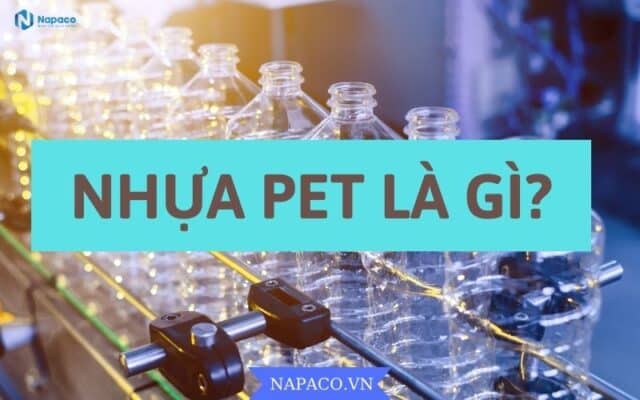 NHỰA PET LÀ GÌ