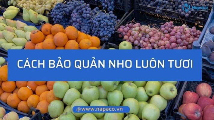 Cach bao quan nho luon tuoi 2